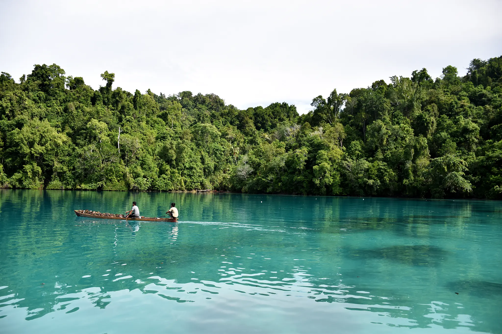 Full-Day Snorkel Safari